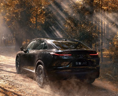 乐道L60黑骑士特别版上市 限量666台配置曝光